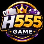 h555 game